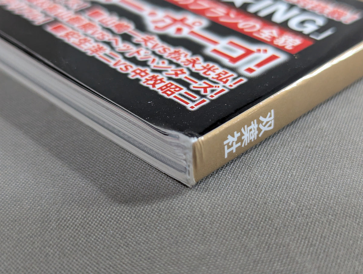 Series Paradoxical Pro Wrestling Vol.21 Pro Wrestling  frenzy "promotion  competition" Light and Shadow