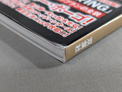 Series Paradoxical Pro Wrestling Vol.21 Pro Wrestling  frenzy "promotion  competition" Light and Shadow