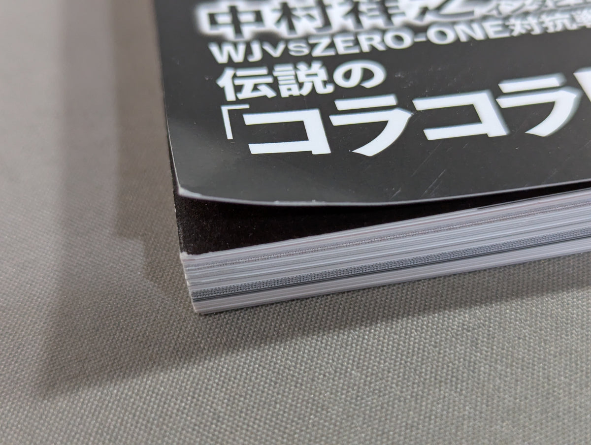 Series Paradoxical Pro Wrestling Vol.21 Pro Wrestling  frenzy "promotion  competition" Light and Shadow