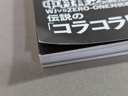Series Paradoxical Pro Wrestling Vol.21 Pro Wrestling  frenzy "promotion  competition" Light and Shadow