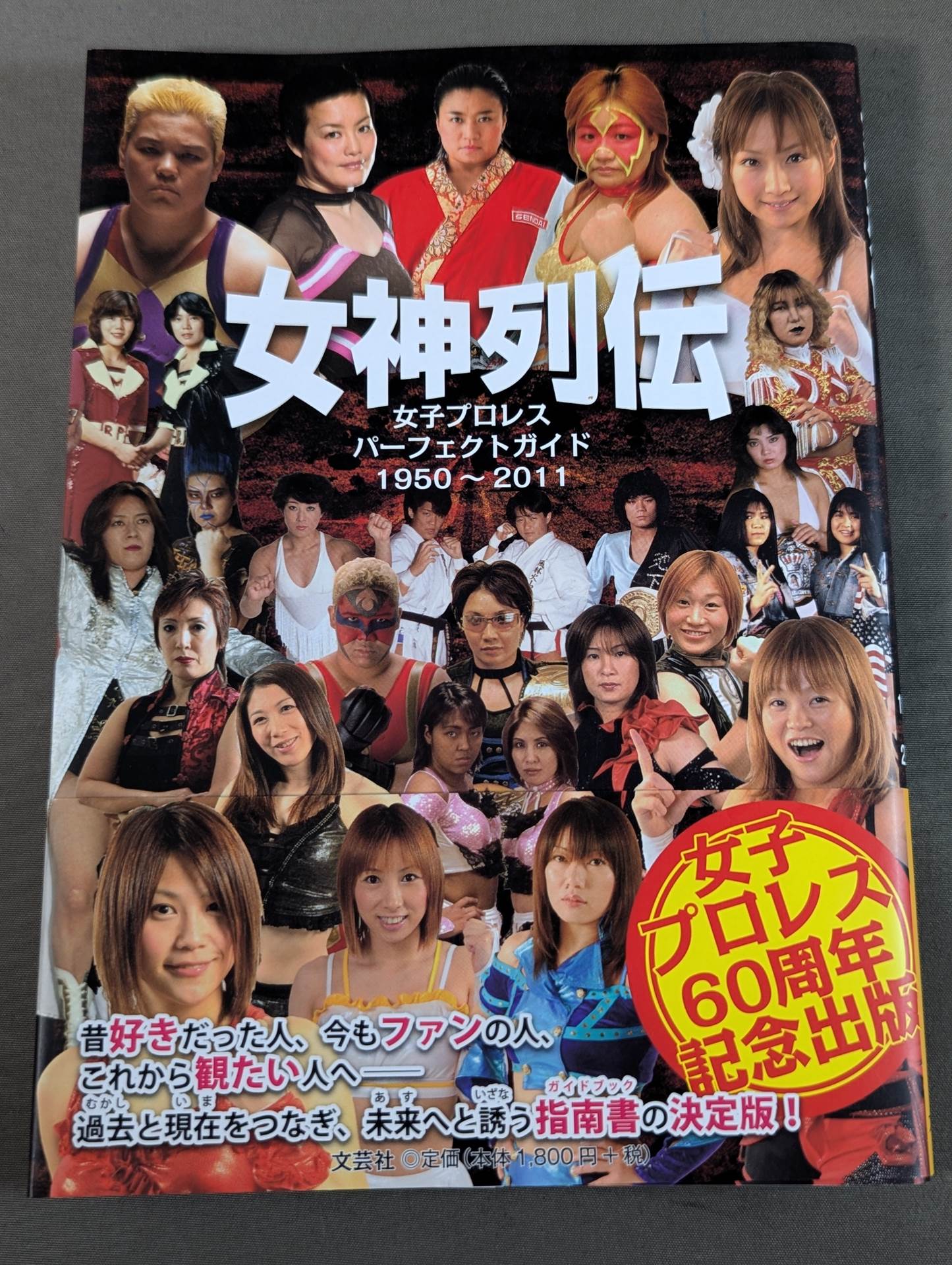 女神列伝  女子プロレス パーフェクトガイド 1950～2011