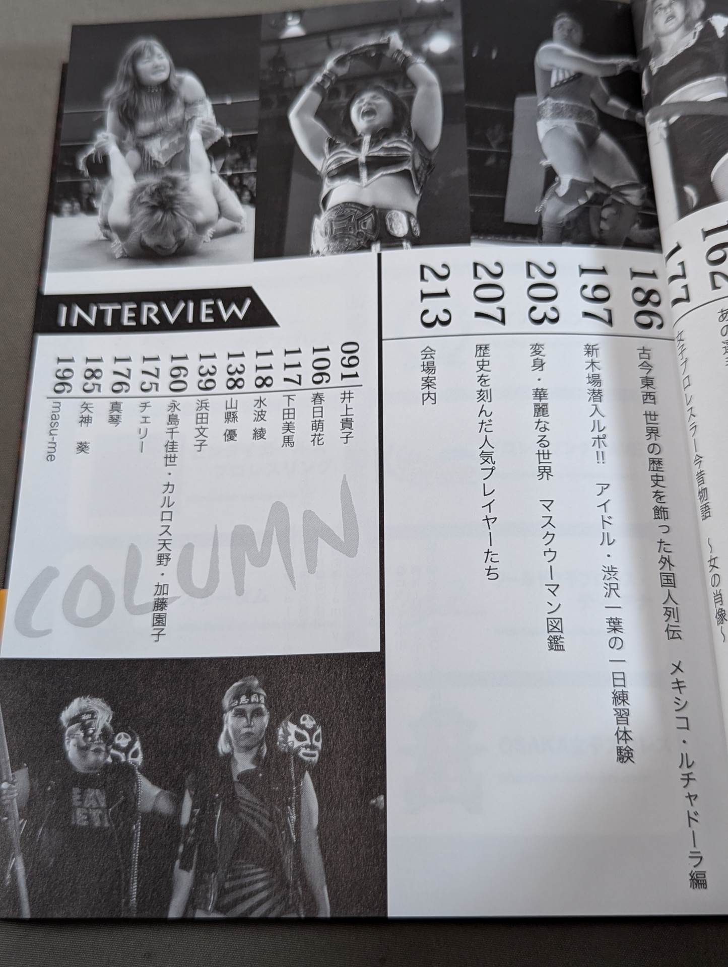 女神列伝  女子プロレス パーフェクトガイド 1950～2011