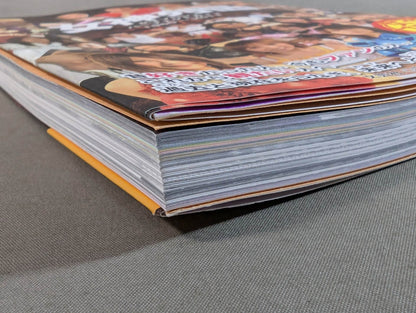 Goddess Retsuden Women's Pro Wrestling Perfect Guide 1950~2011