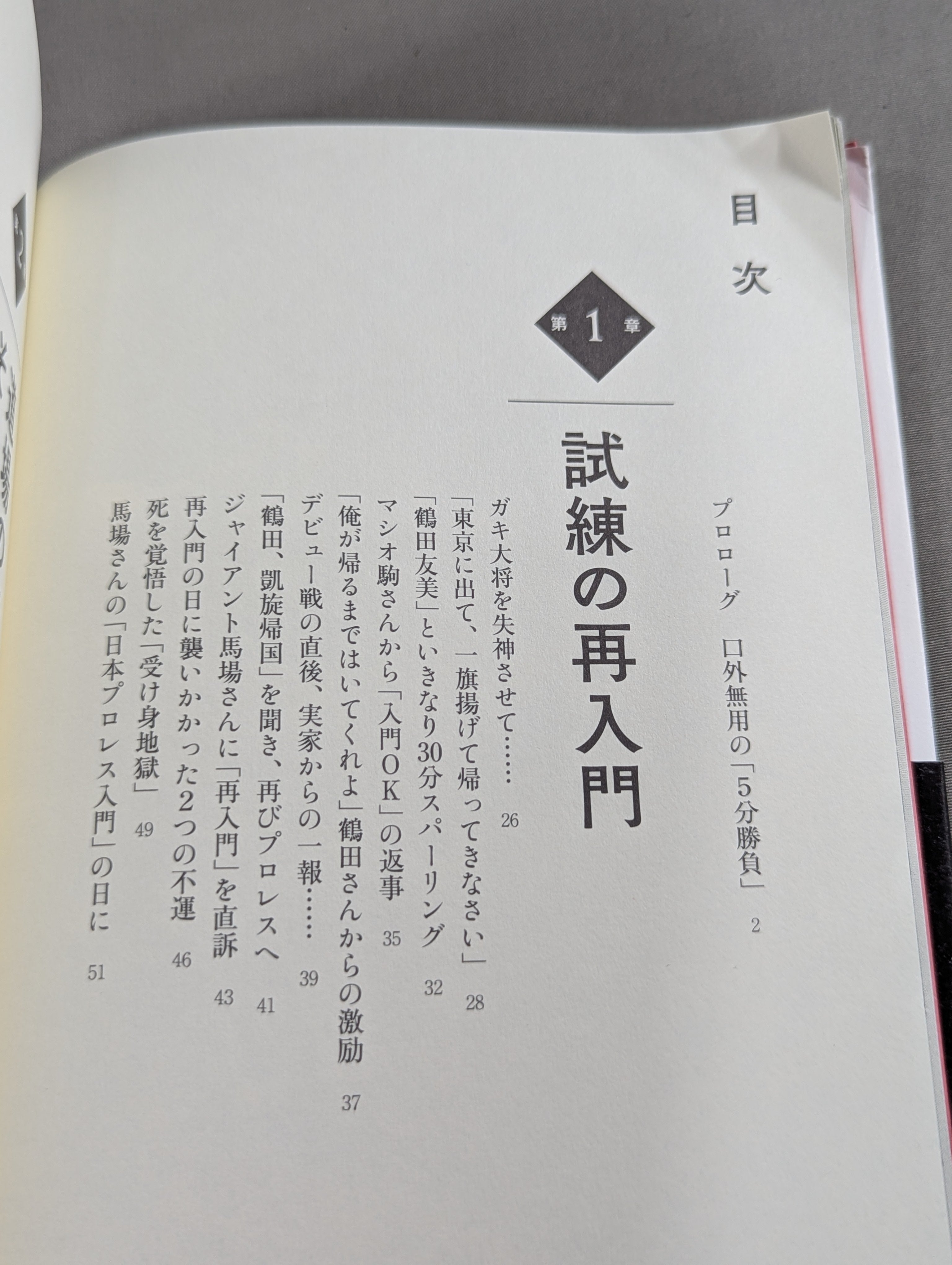 王道ブルース – 闘道館