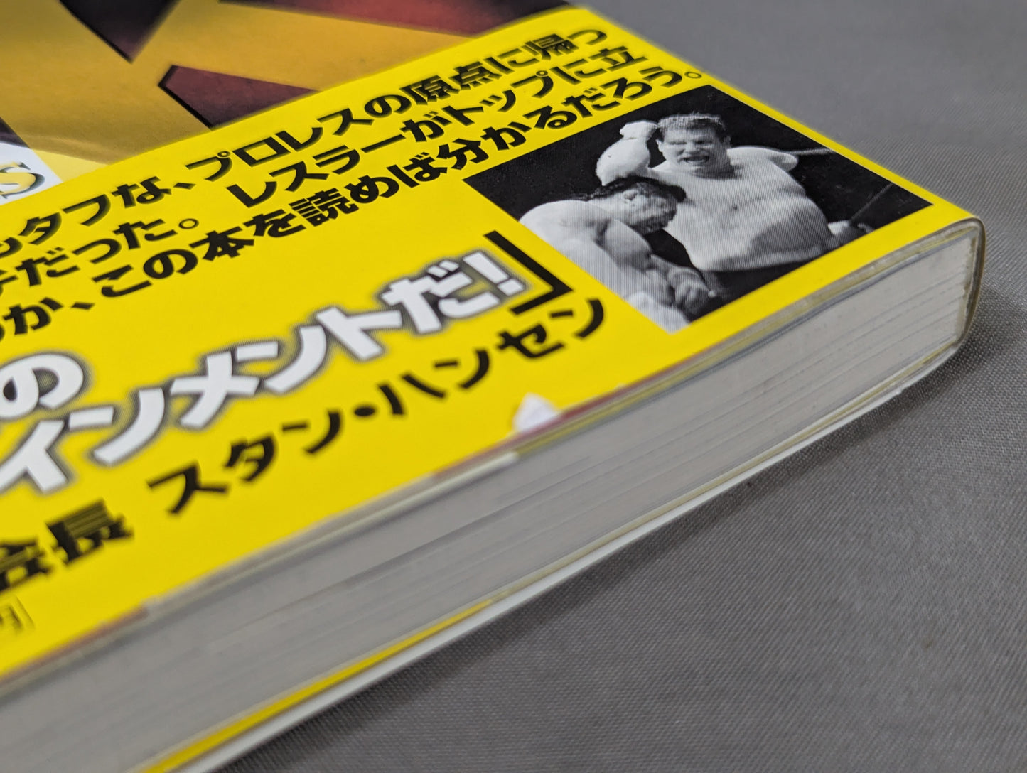 俺だけの王道 川田利明自伝