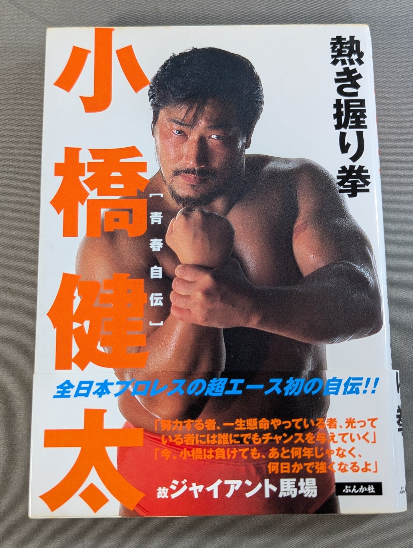 小橋健太 青春自伝 熱き握り拳