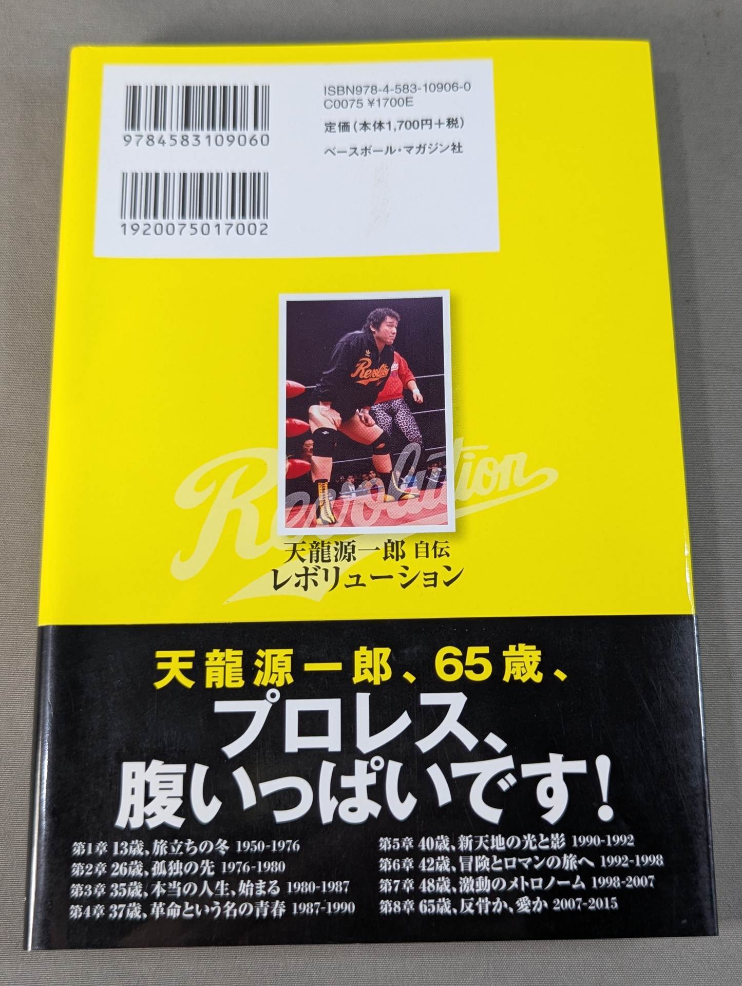 Tenryu Genichiro  Autobiography Revolution