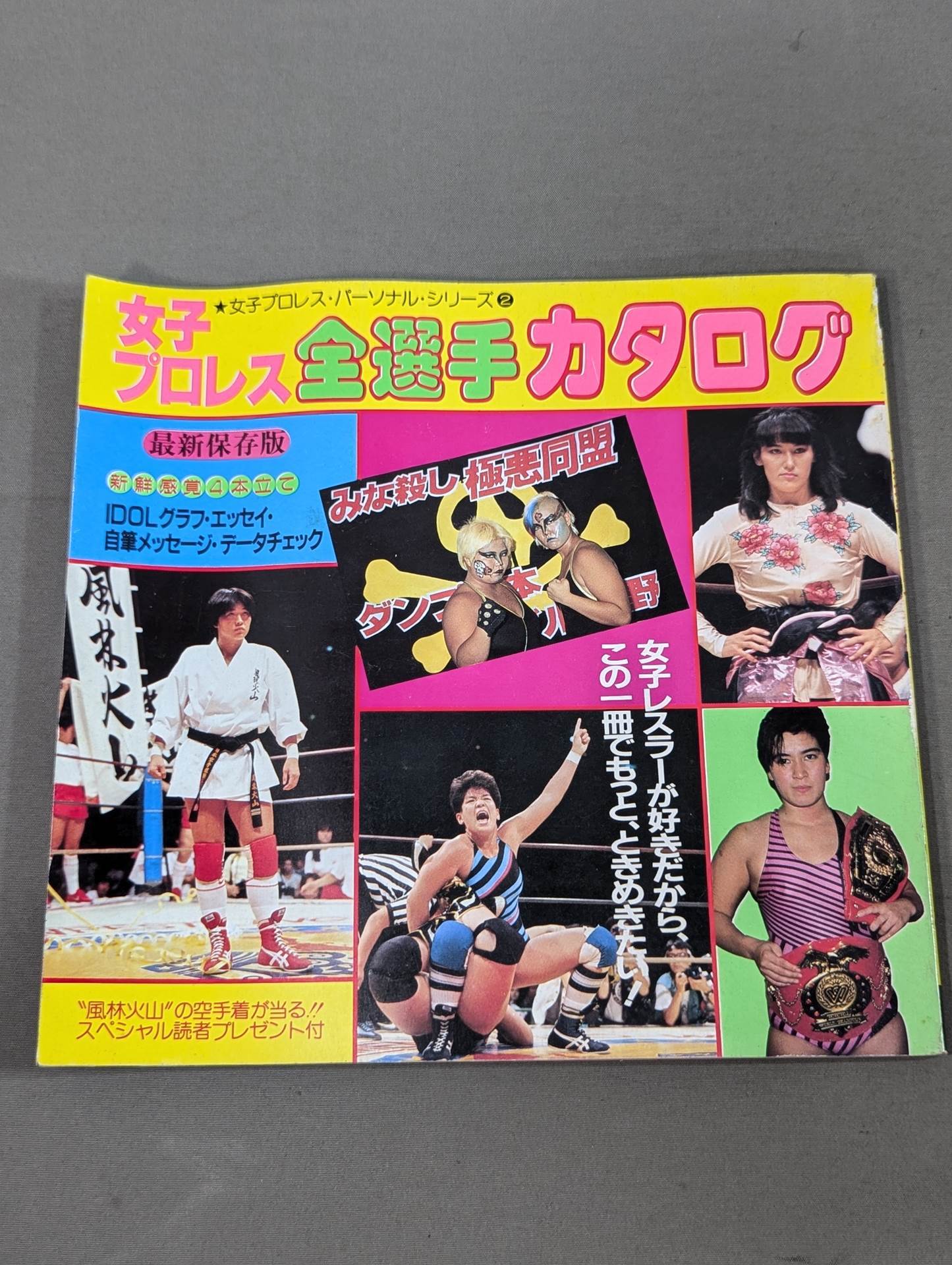 女子プロレス全選手カタログ ★女子プロレス・パーソナル・シリーズ②