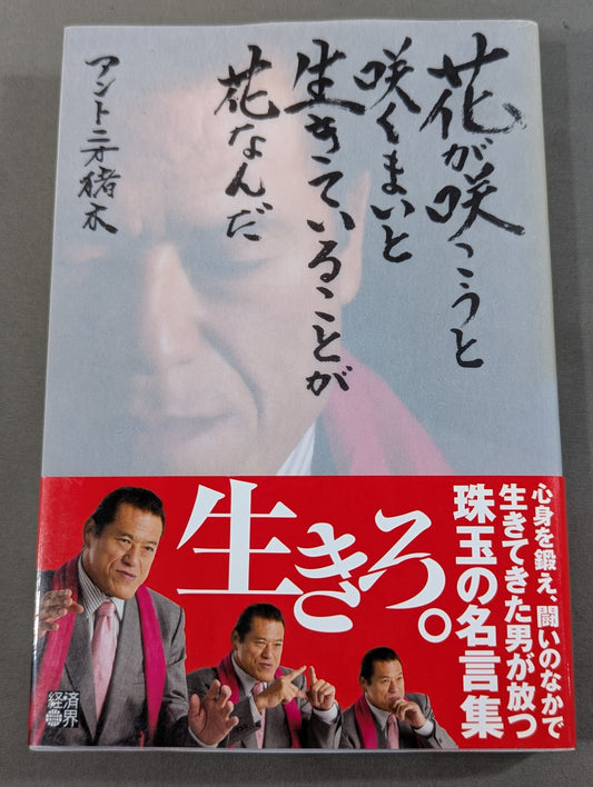 花が咲こうと咲くまいと生きていることが花なんだ