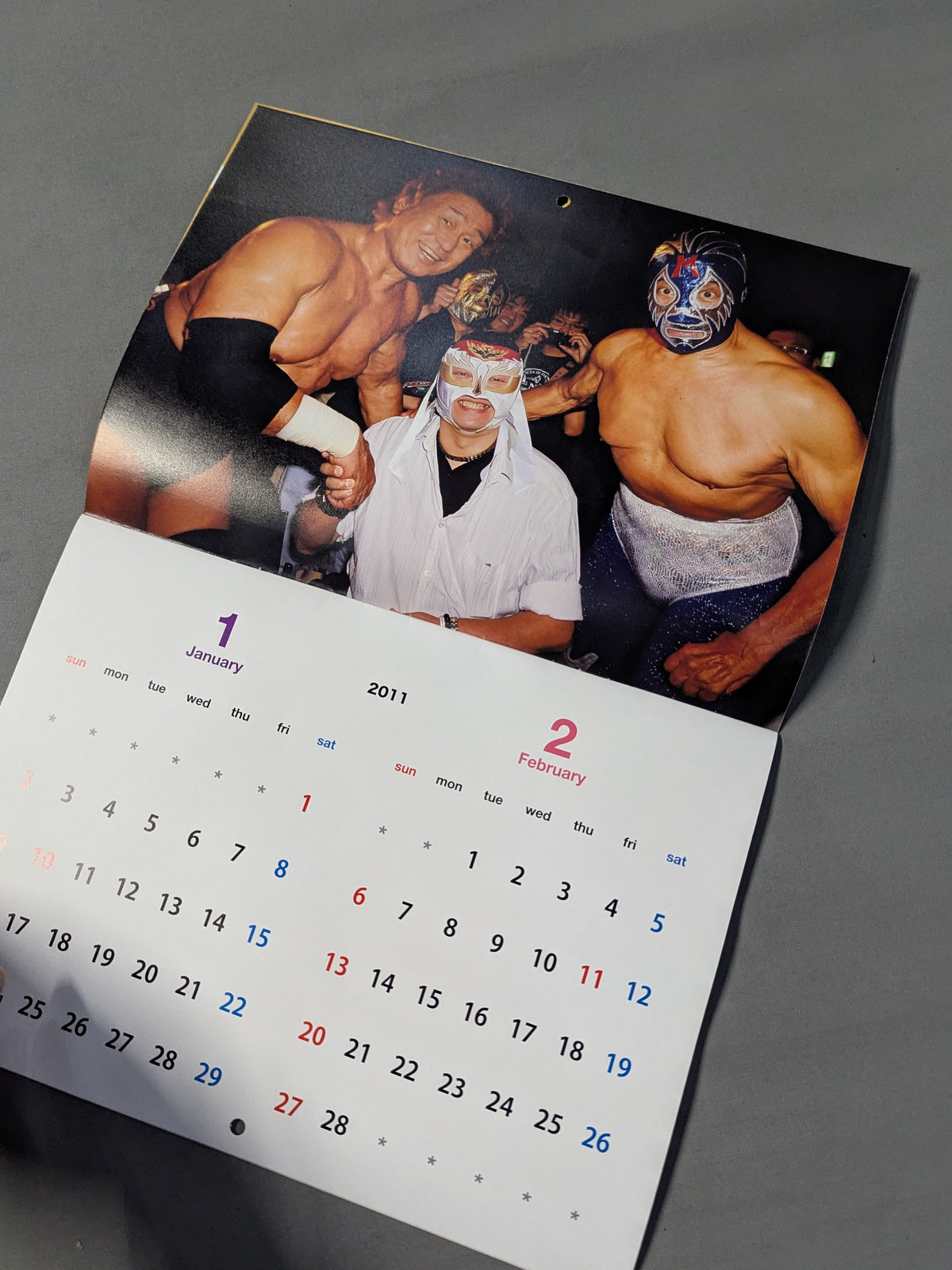 FOTOLIBRE DE CALENDARIO 2011