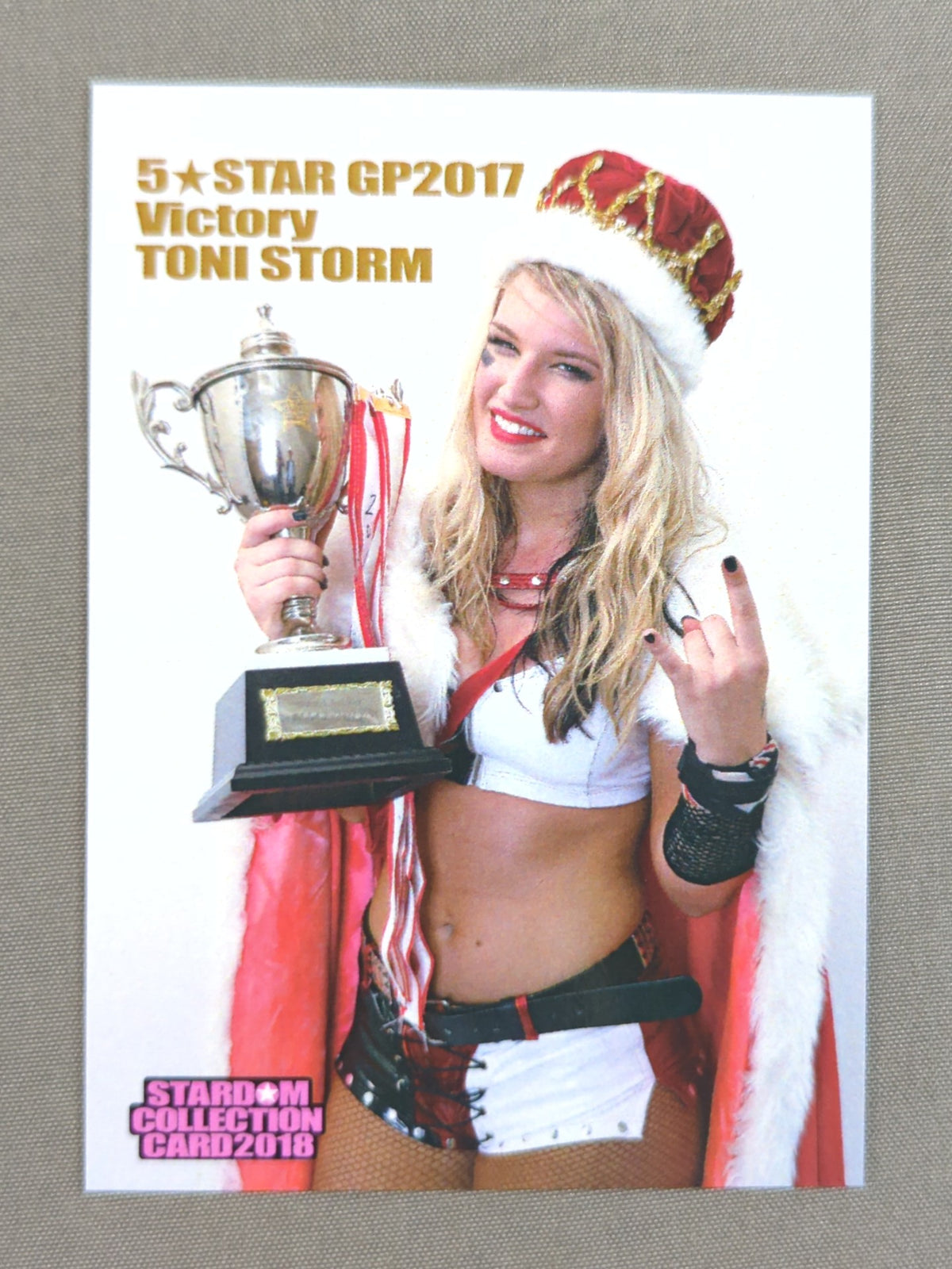 2018 STARDOM COLLECTION CARD トニー・ストーム(176)