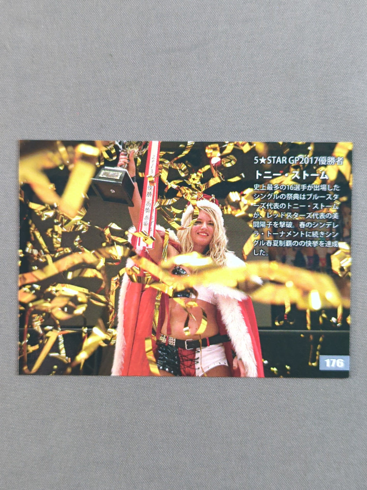 2018 STARDOM COLLECTION CARD トニー・ストーム(176)