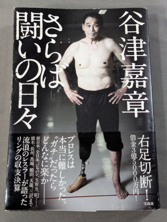 さらば闘いの日々