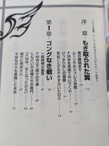 ハヤブサ降臨 そして不死鳥はよみがえる