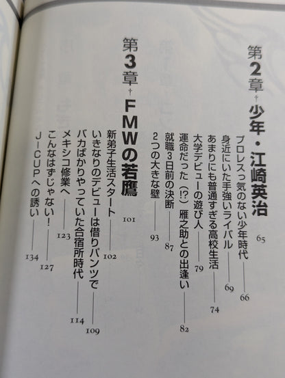 ハヤブサ降臨 そして不死鳥はよみがえる