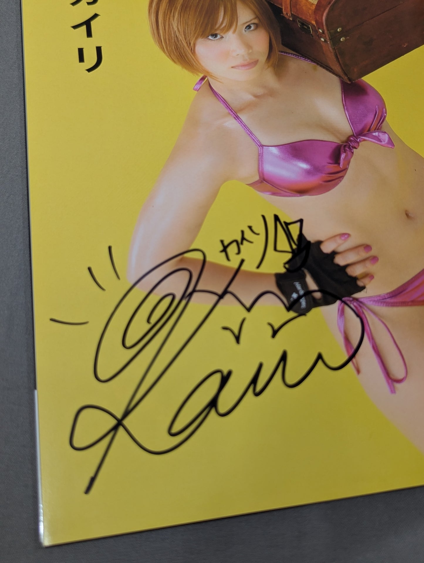 [Kairi Hojo  hand signed autograph ] Steel Armored Woman II Girls pro wrestler  Super Combat photo  Collection