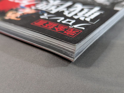 シリーズ 逆説のプロレス Vol.20 完全証言 プロレス「戦慄ケンカマッチ」血の掟