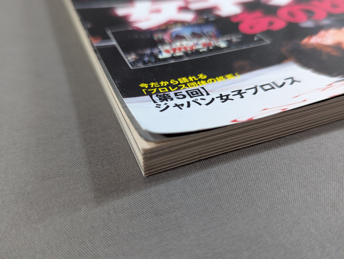 俺たちのプロレス Vol.6 女子プロレスあの頃と今 14名の証言によって明かされた「団体対抗戦の新事実」