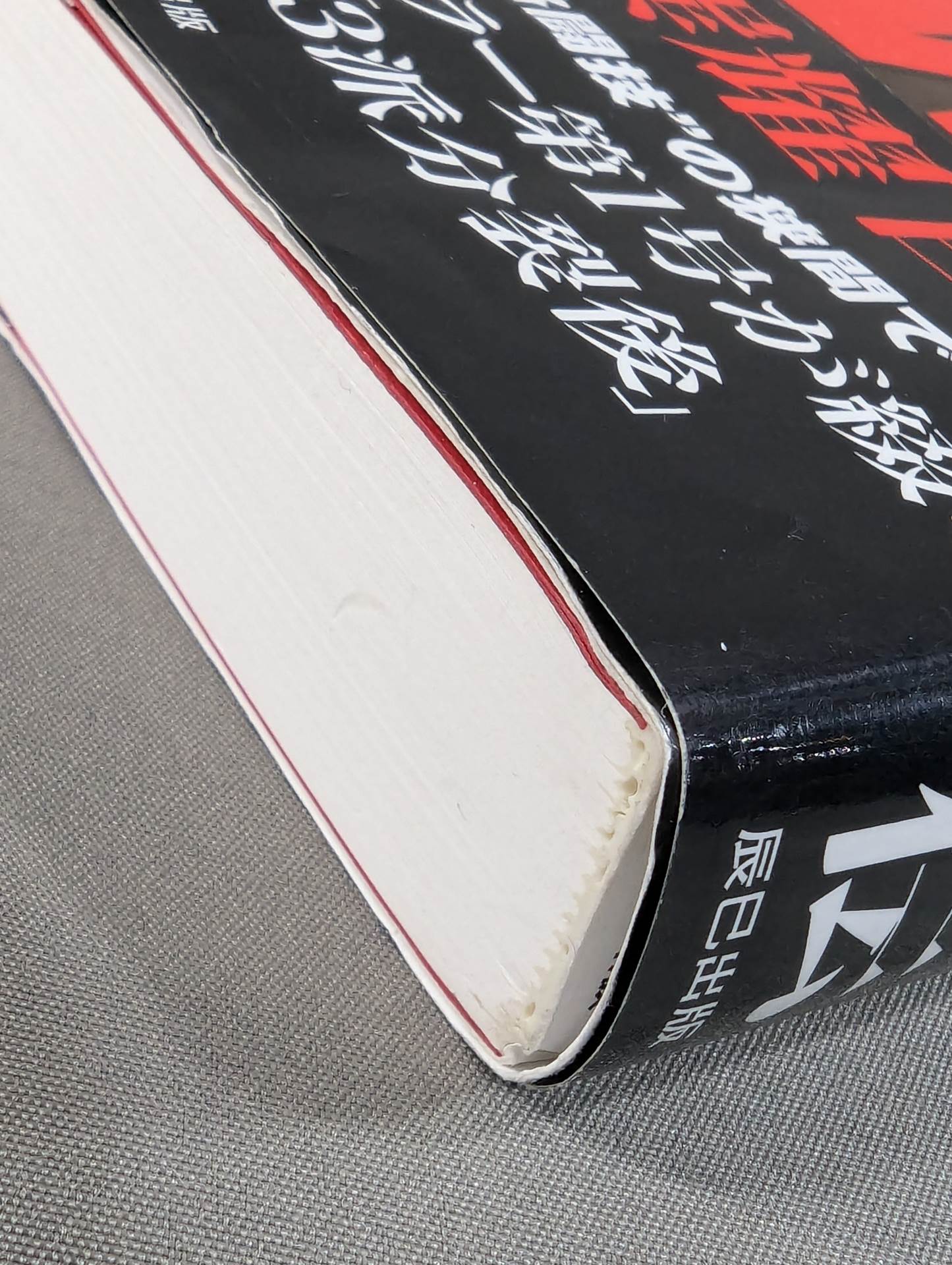 My Theory UWF Nakano Tatsumi Yao Autobiography