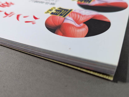 Women's Pro Wrestling 60 Years History From Mach Wenju to Beauty Pairs, Crush Gals ... 60 Years of Women's Pro Wrestling