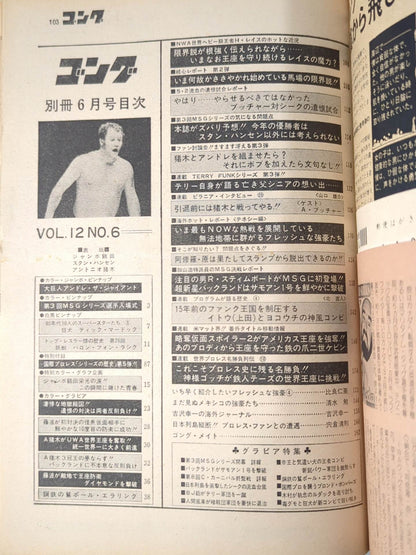 別冊ゴングVol.12 No.6