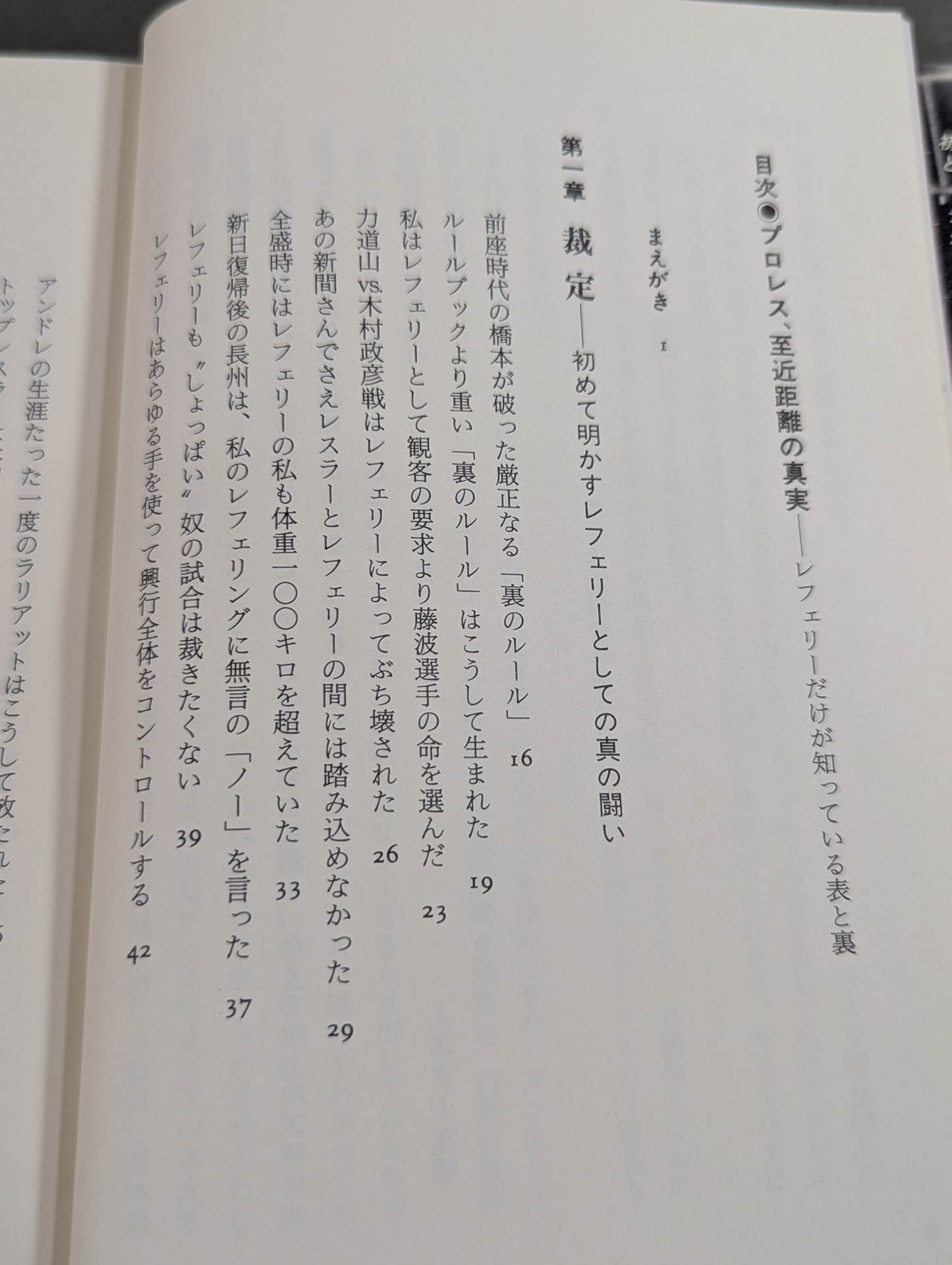 プロレス 至近距離の真実