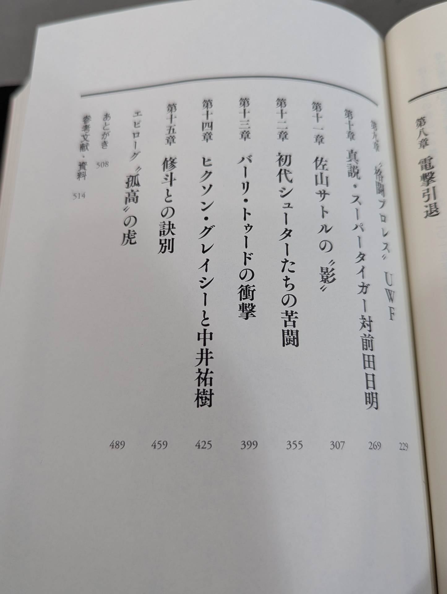 True theory: Satoru Sayama  The Man Called Tiger Mask