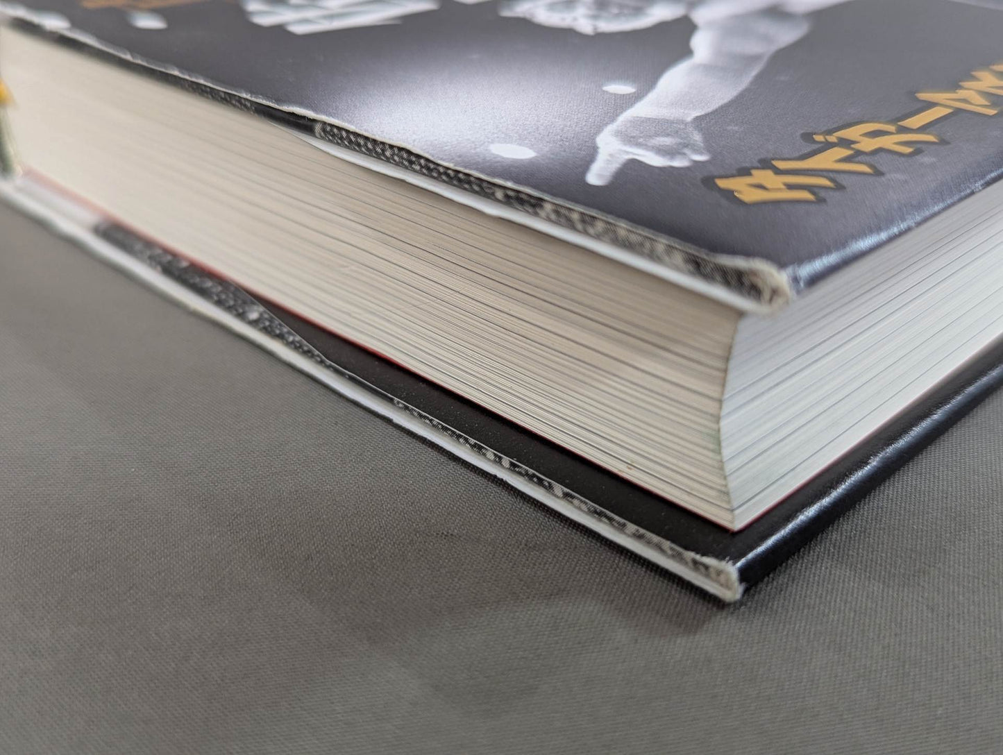 True theory: Satoru Sayama  The Man Called Tiger Mask