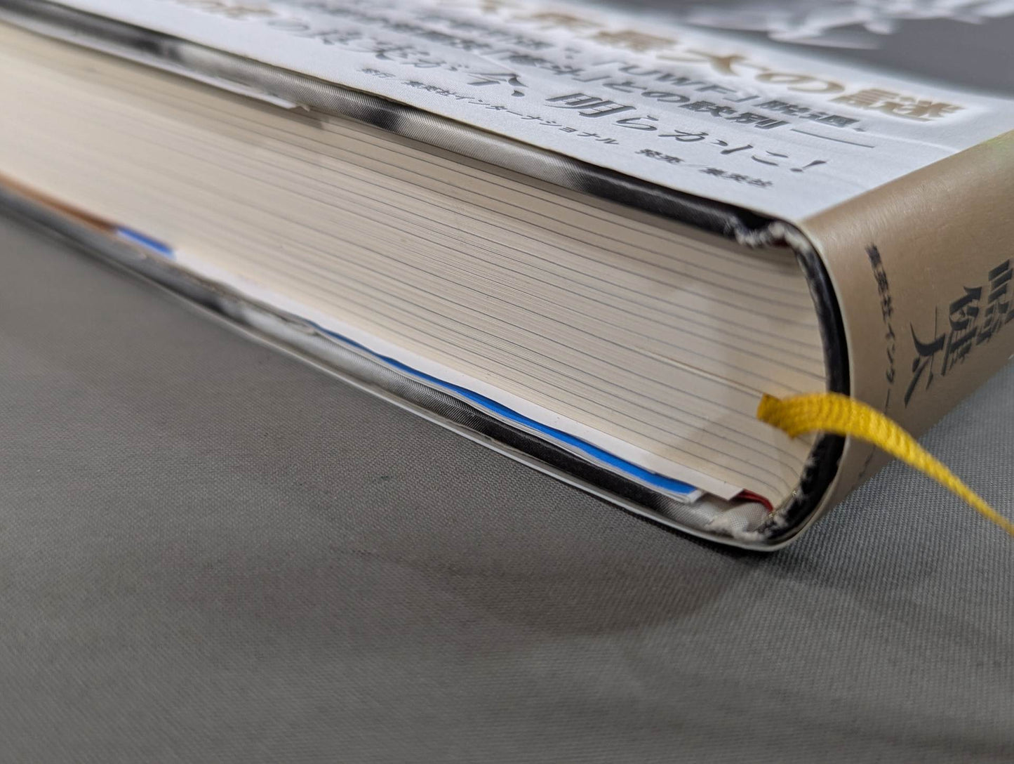 True theory: Satoru Sayama  The Man Called Tiger Mask