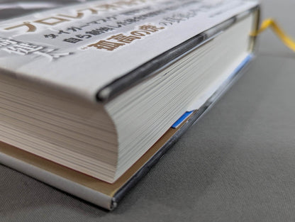 True theory: Satoru Sayama  The Man Called Tiger Mask