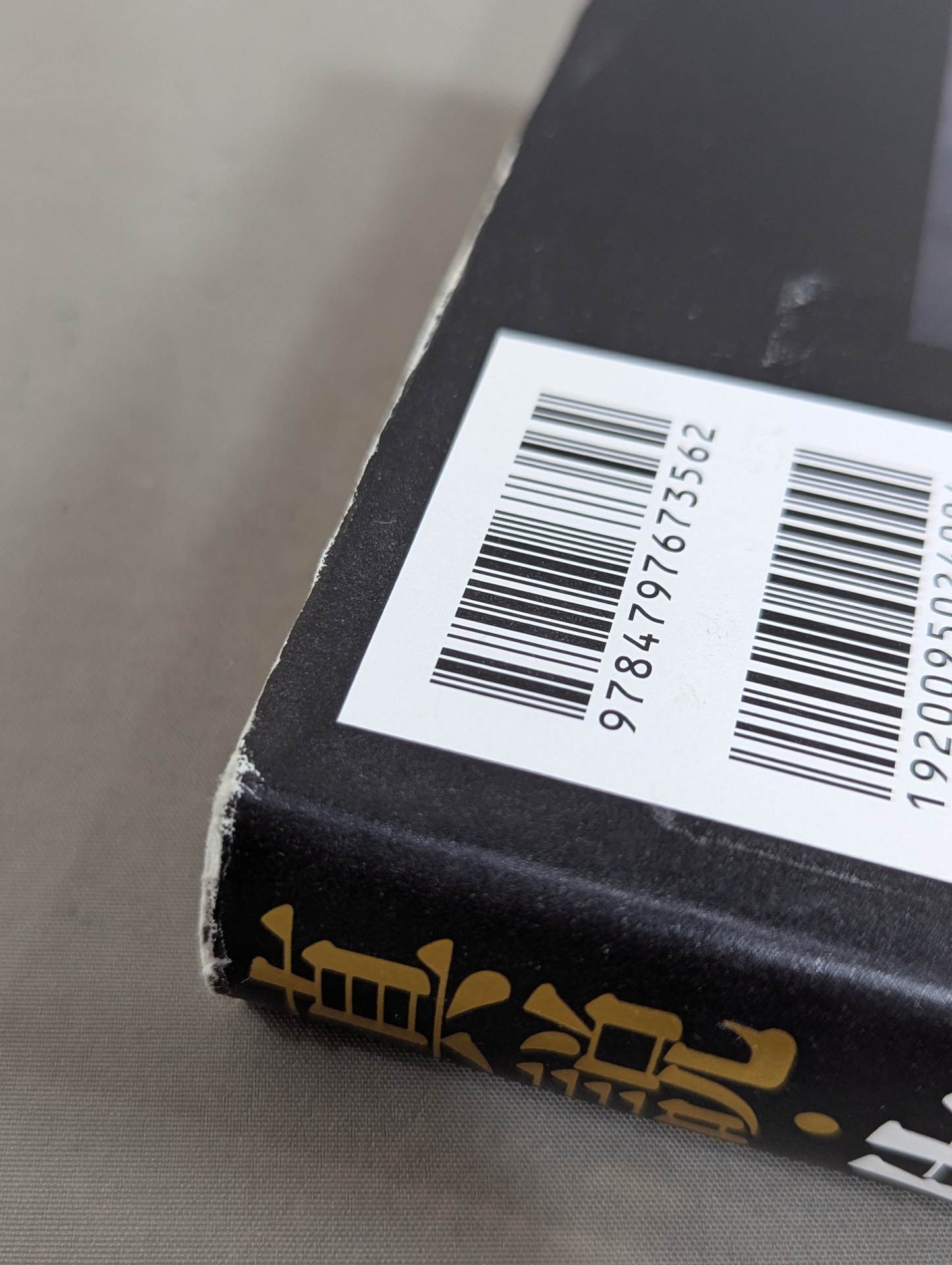 True theory: Satoru Sayama  The Man Called Tiger Mask