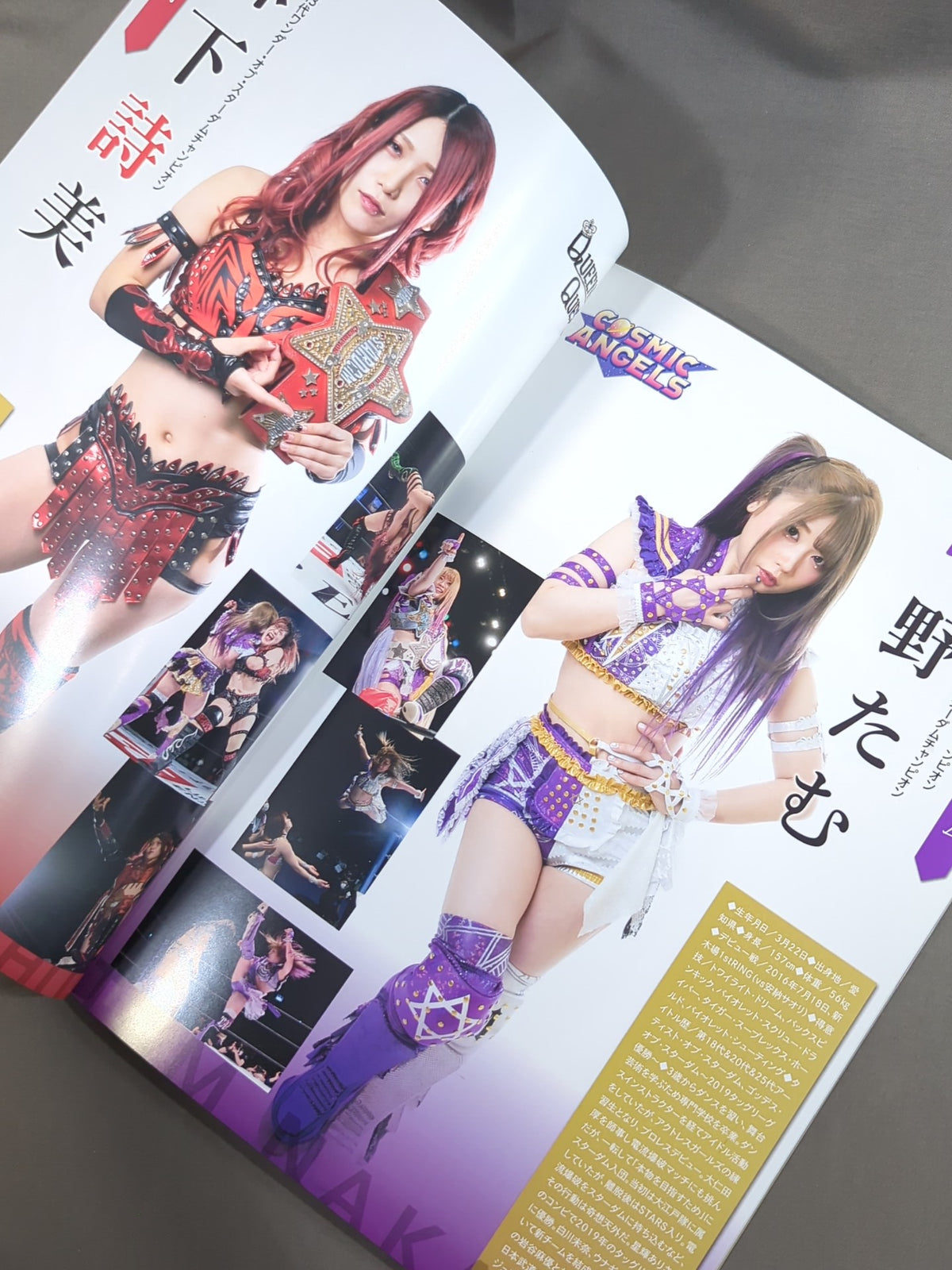 STARDOM OFFICIAL GUIDE BOOK Vol.136