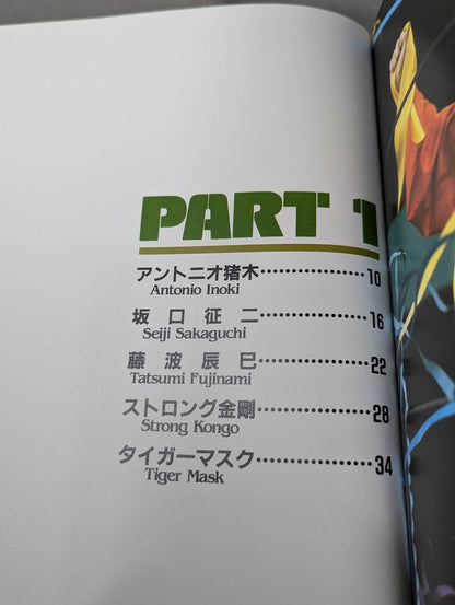 ザ・スーパー・ファイター THE SUPER FIGHTER