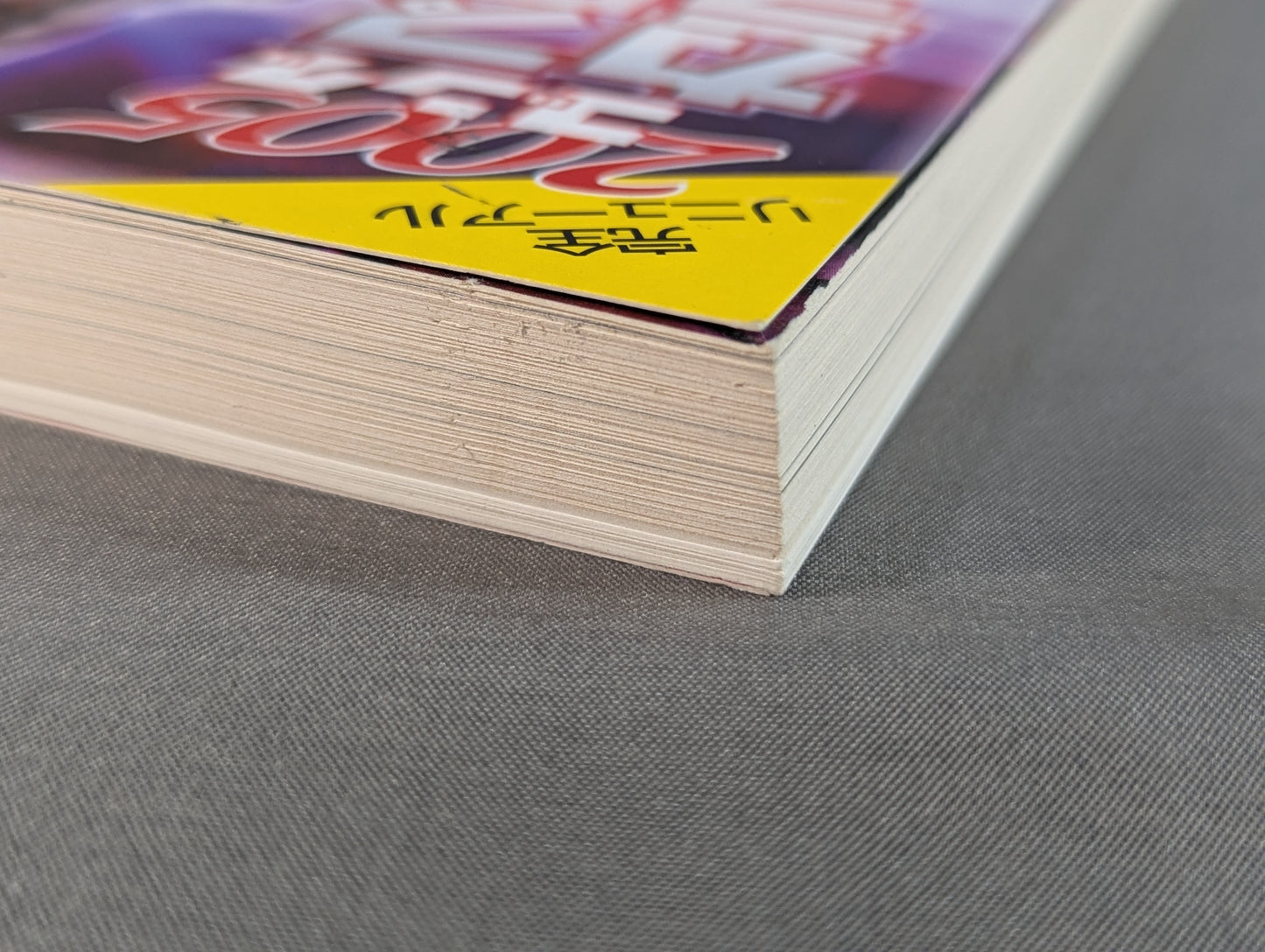 2005ゴング プロレスカラー名鑑