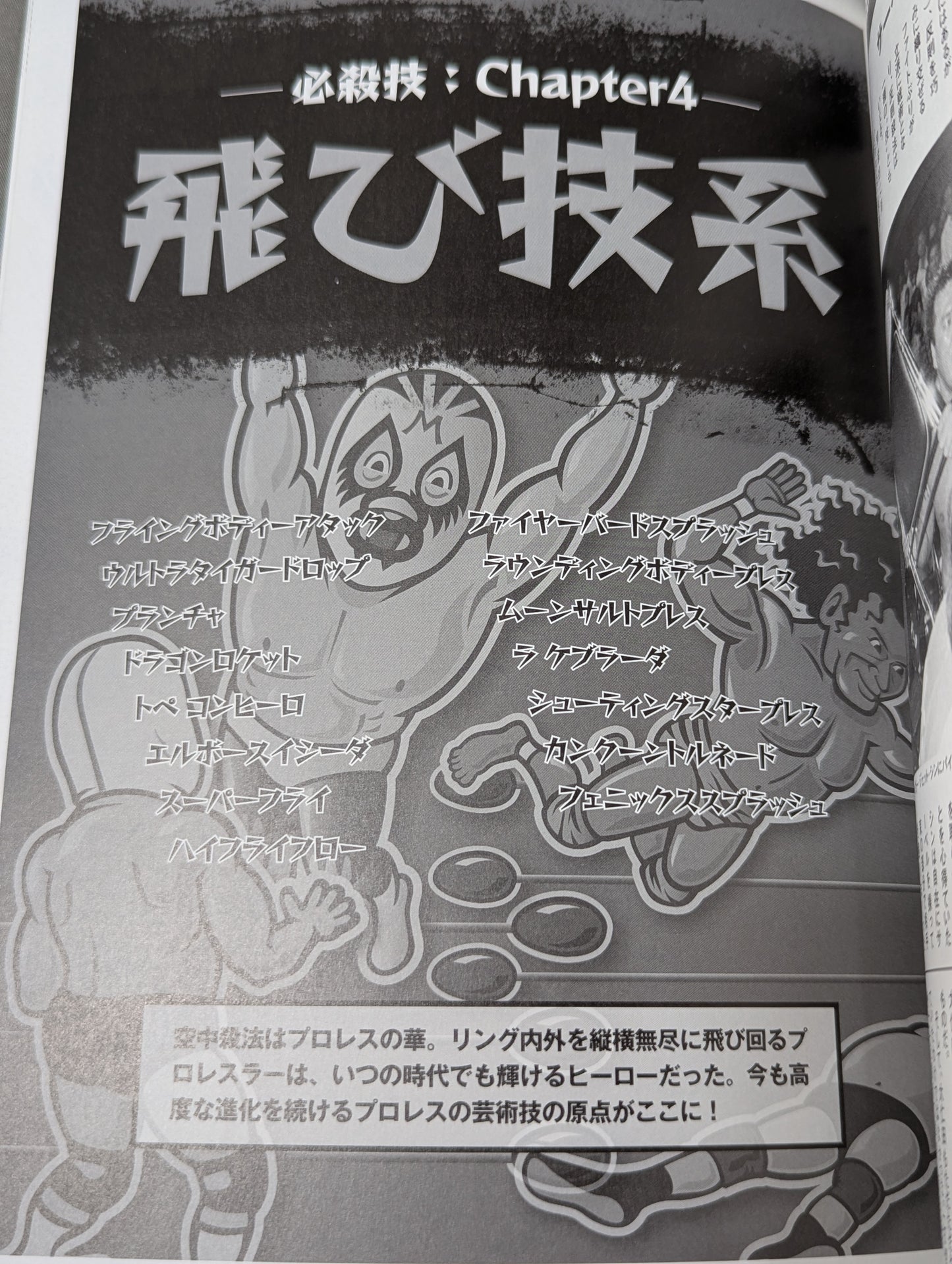 Pro Wrestler  Special Moves Directory