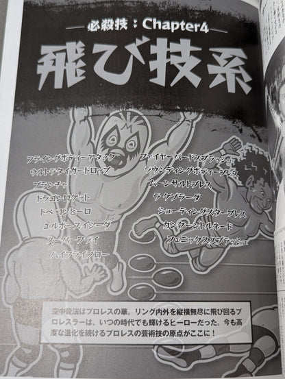 Pro Wrestler  Special Moves Directory
