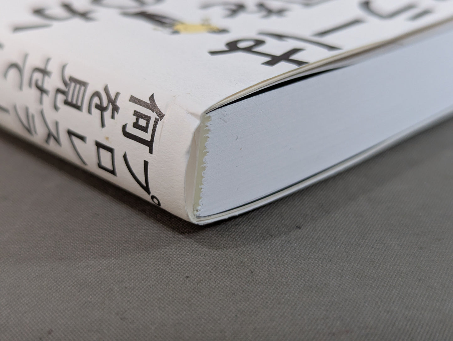 プロレスラーは観客に何を見せているのか