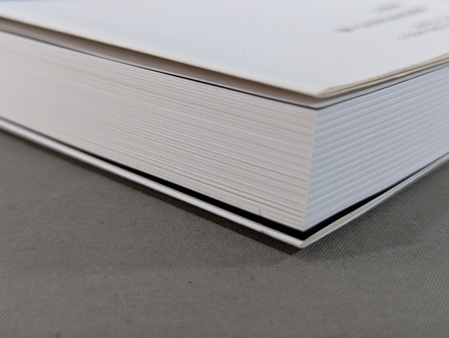 プロレスラーは観客に何を見せているのか