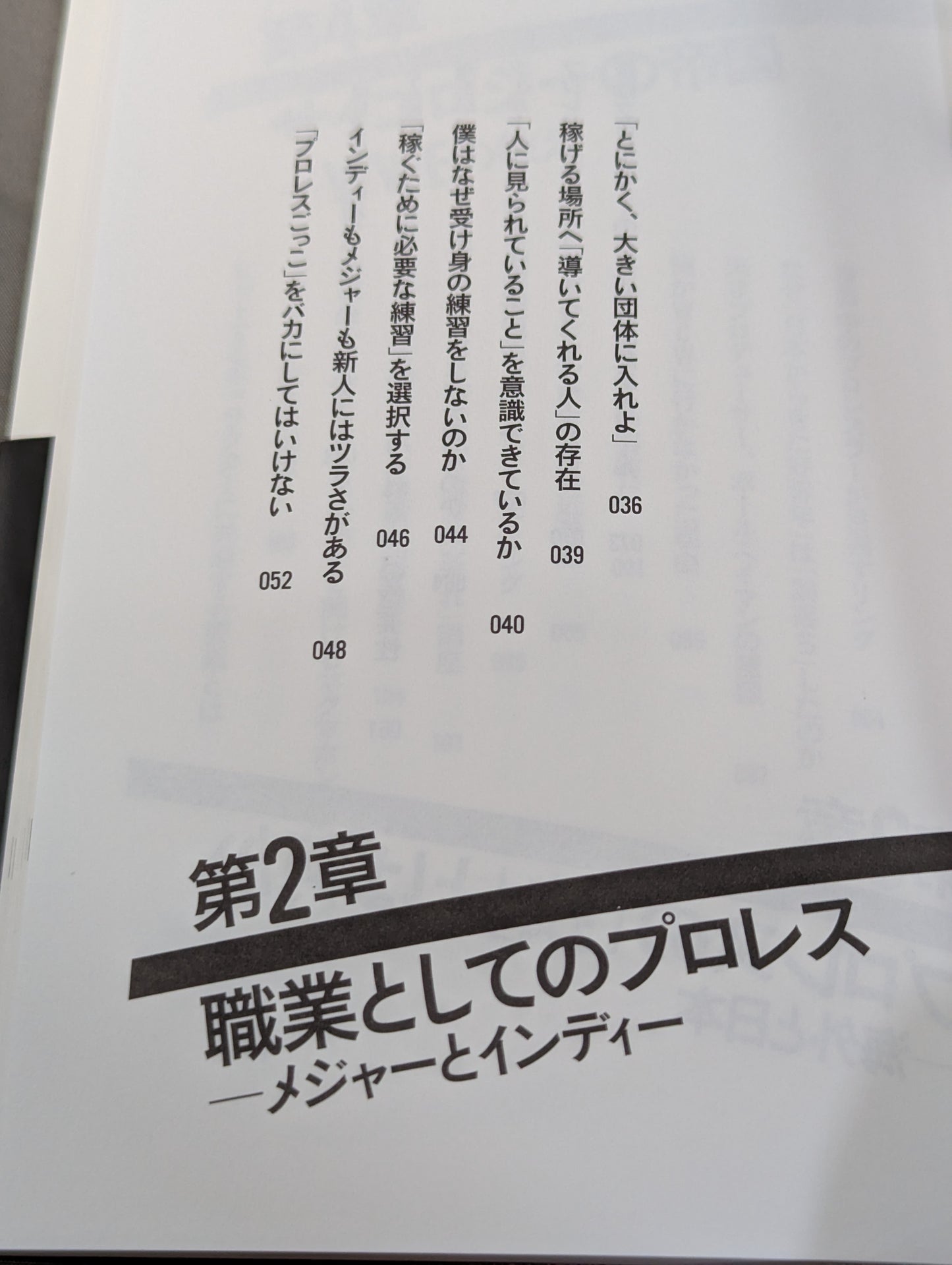 プロレスラーは観客に何を見せているのか