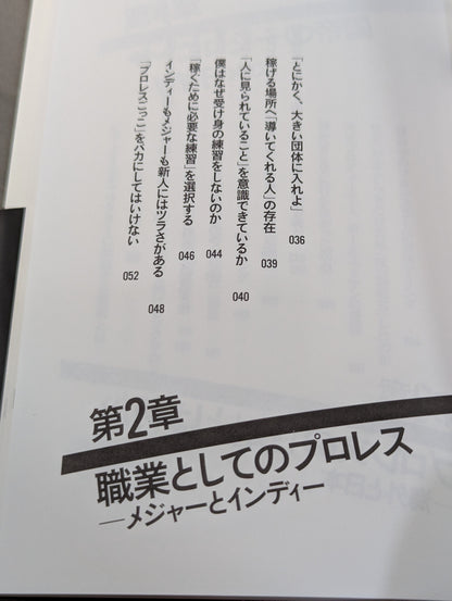 プロレスラーは観客に何を見せているのか