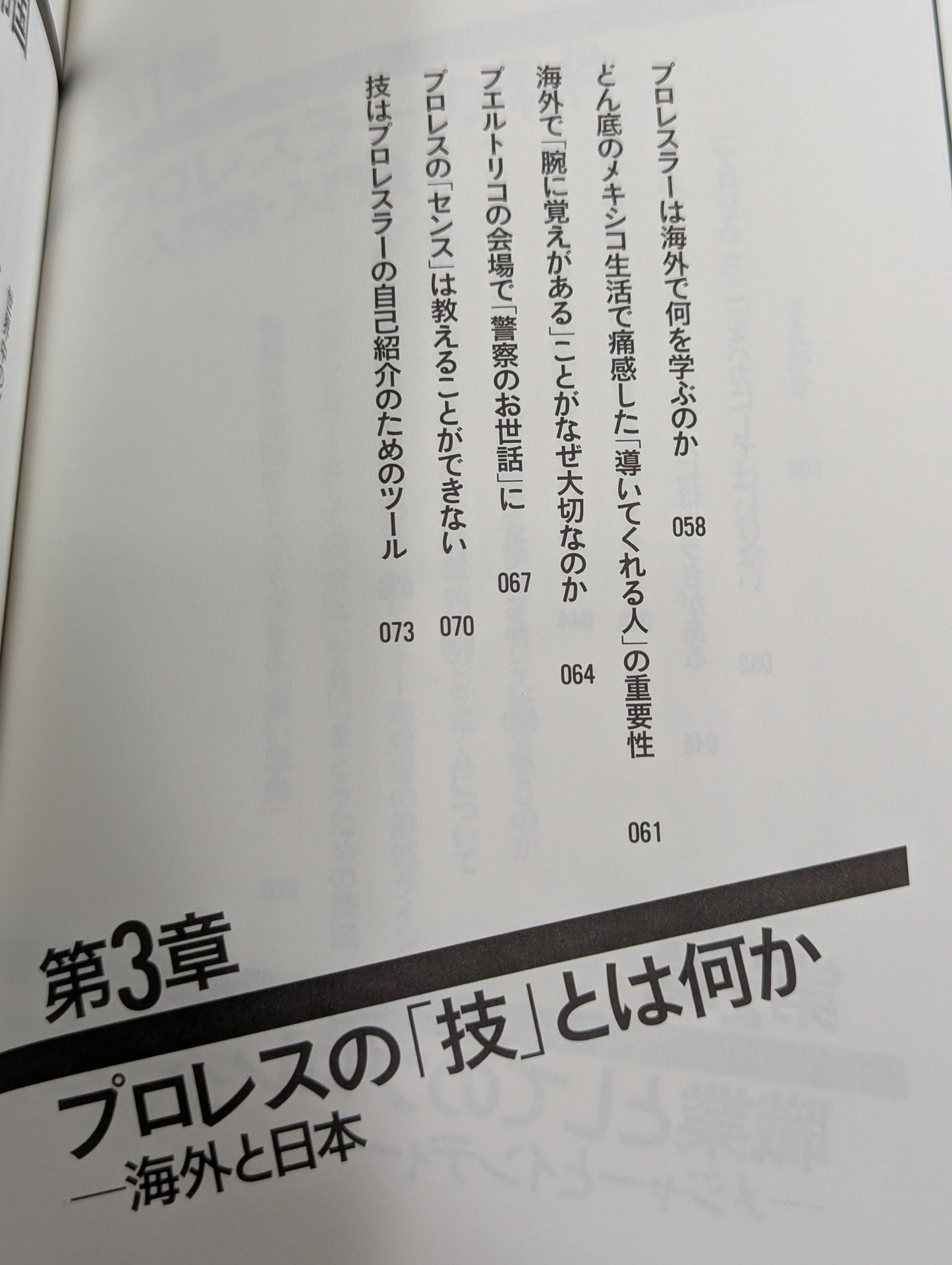 プロレスラーは観客に何を見せているのか