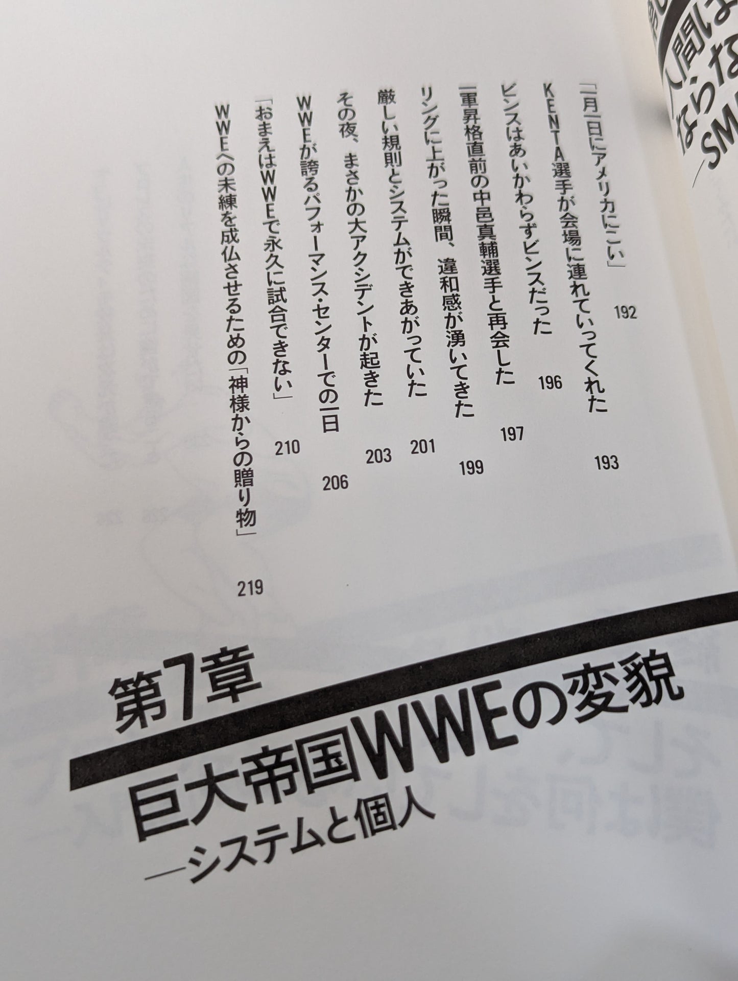 プロレスラーは観客に何を見せているのか