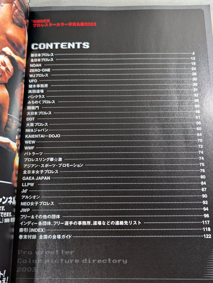 プロレスラー カラー写真名鑑2003 増補改訂版