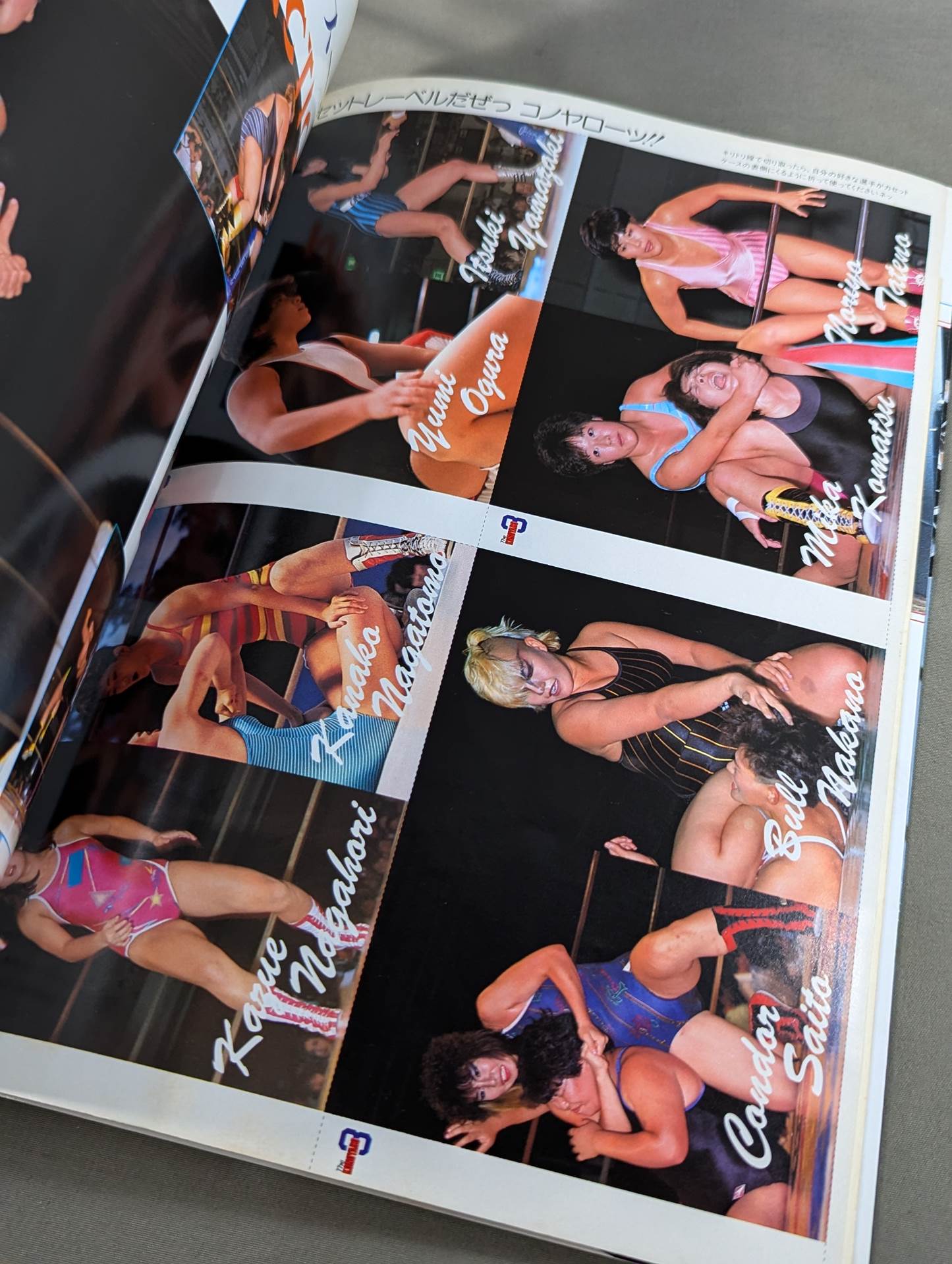 女子プロレス3【決定版】まいったかコノヤローッ!!