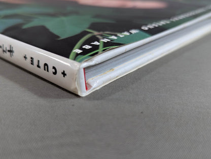 キューティー鈴木 写真集 Cute