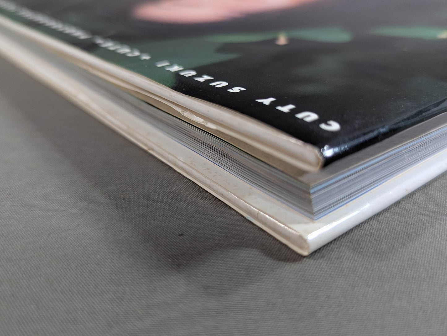 キューティー鈴木 写真集 Cute