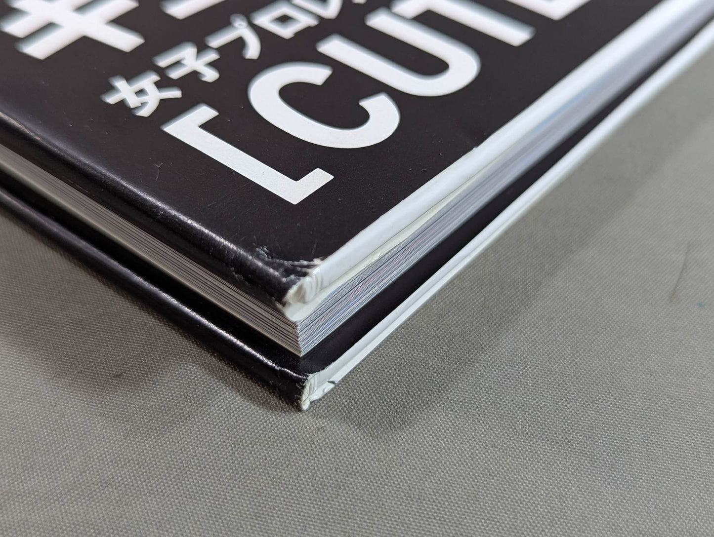 キューティー鈴木 写真集 Cute