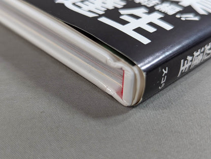 キューティー鈴木 写真集 Cute