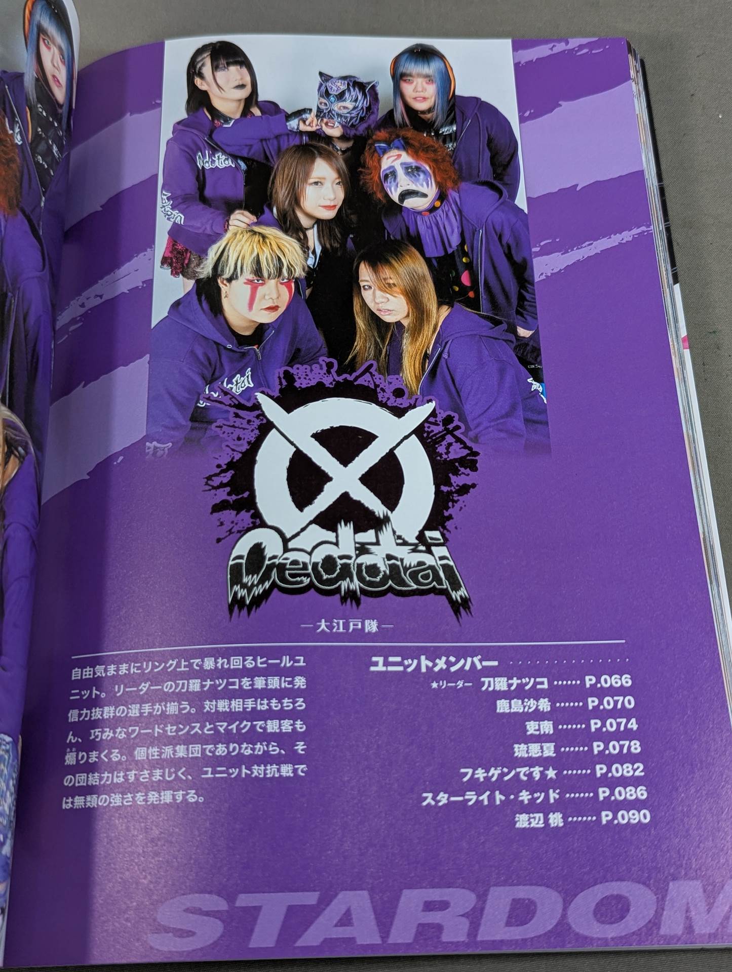 STARDOM FANBOOK