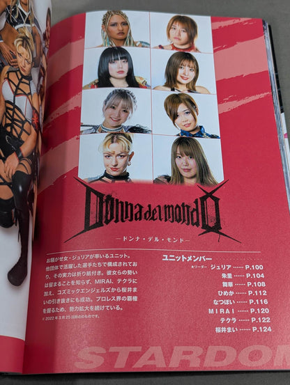 STARDOM FANBOOK